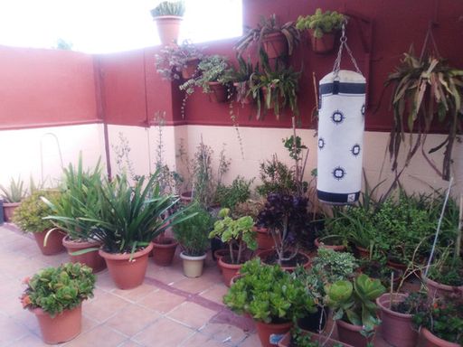 Terraza